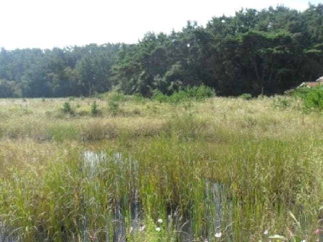 B000285202501300008181.jpg