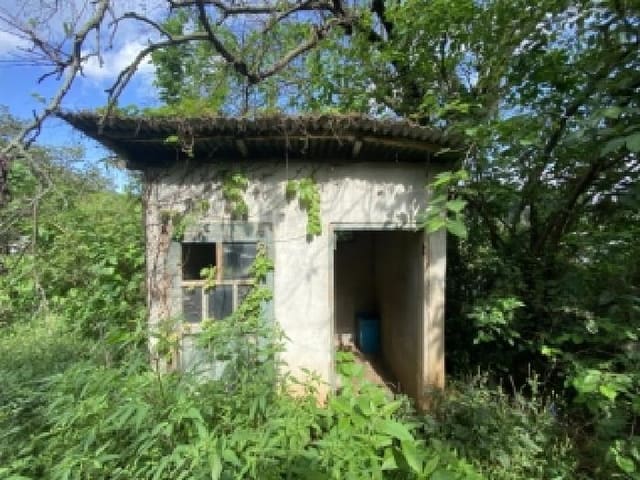 B000285202501300008232.jpg