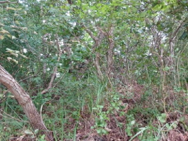 B000285202501300008304.jpg