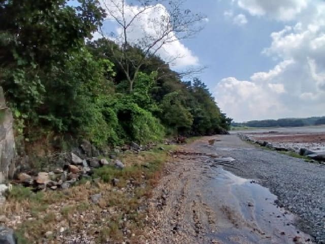 B000285202501300008302.jpg