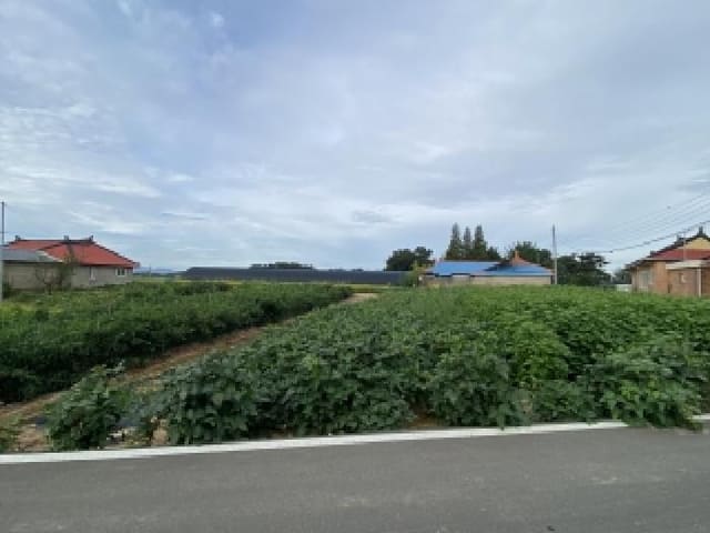 B000285202501300008341.jpg