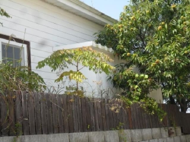 B000285202501300008451.jpg