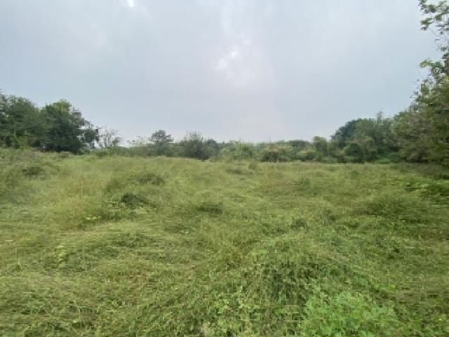 B000285202501300008541.jpg