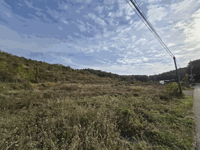 B000285202501300008824.jpg
