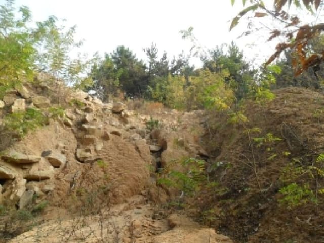B000285202501300008891.jpg