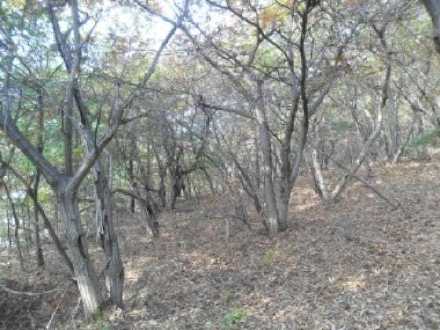 B000285202501300008892.jpg