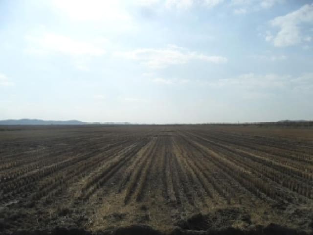 B000285202501300009011.jpg