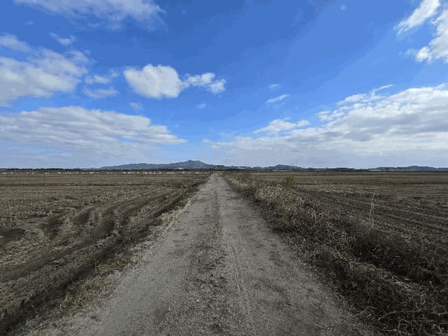 B000285202501300009014.jpg