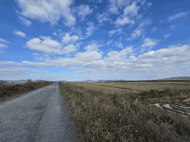 B000285202501300009013.jpg