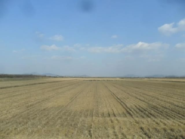 B000285202501300009012.jpg