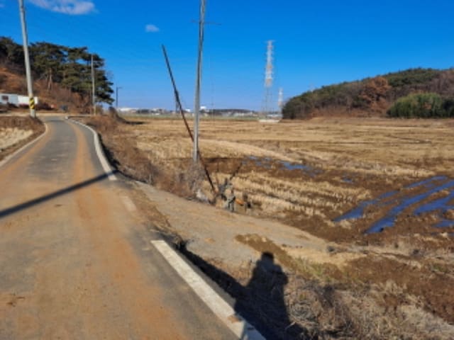 B0002852025013005001311.jpg