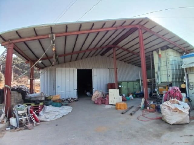 B000285202501300503034.jpg