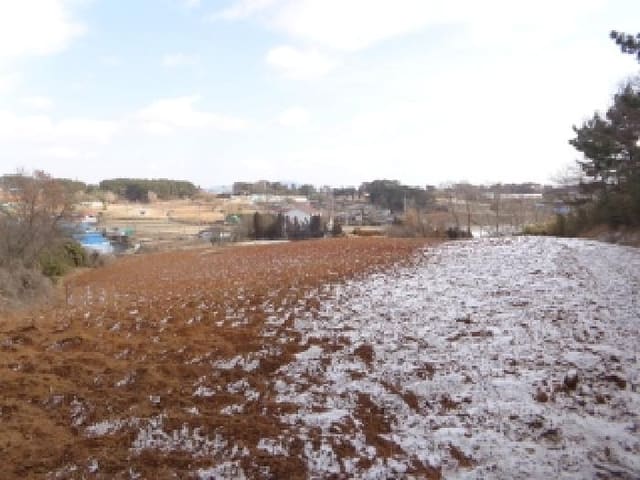 B000285202501300503414.jpg