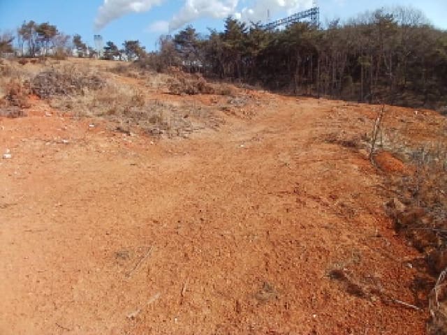 B000285202501300506861.jpg