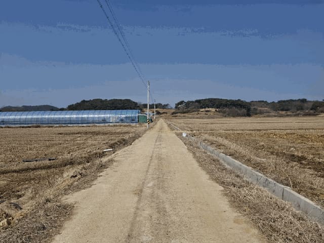 B000285202501300510134.jpg