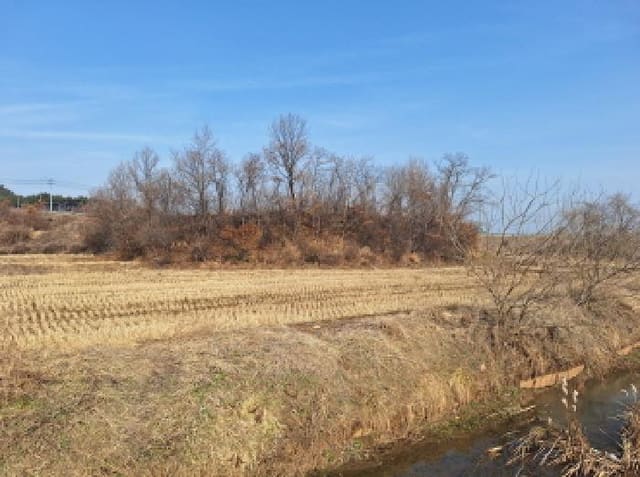 B000285202501300510444.jpg