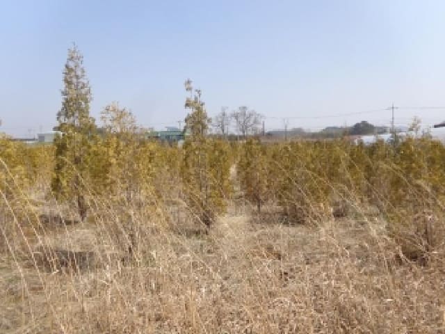 B000285202501300510904.jpg