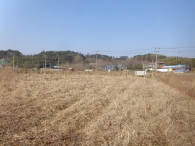 B000285202501300510903.jpg