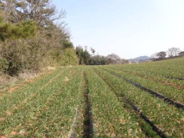 B000285202501300510941.jpg
