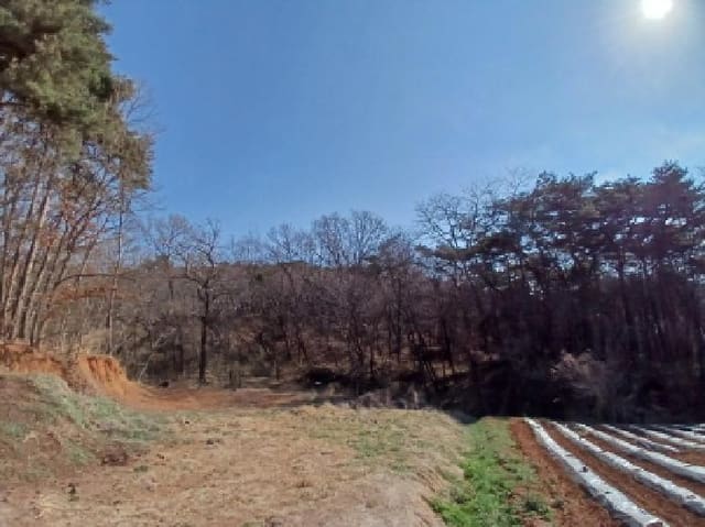 B000285202501300511143.jpg