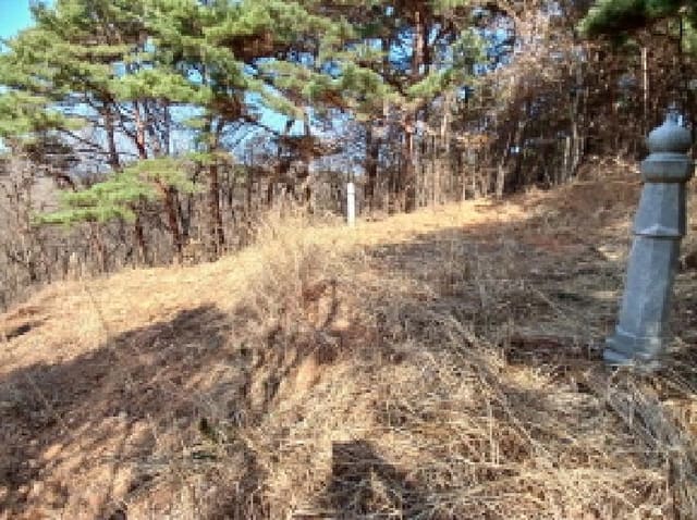 B000285202501300511142.jpg