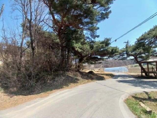 B000285202501300511493.jpg