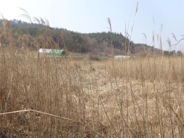 B000285202501300511553.jpg