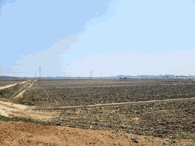 B000285202501300511564.jpg