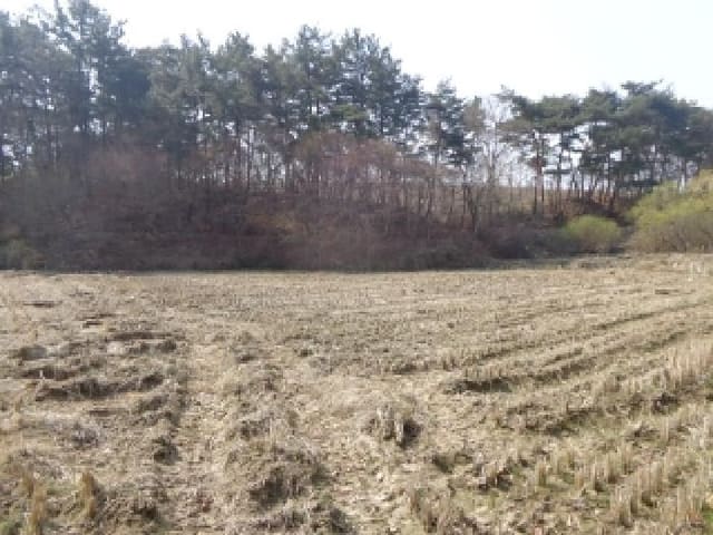 B000285202501300511852.jpg