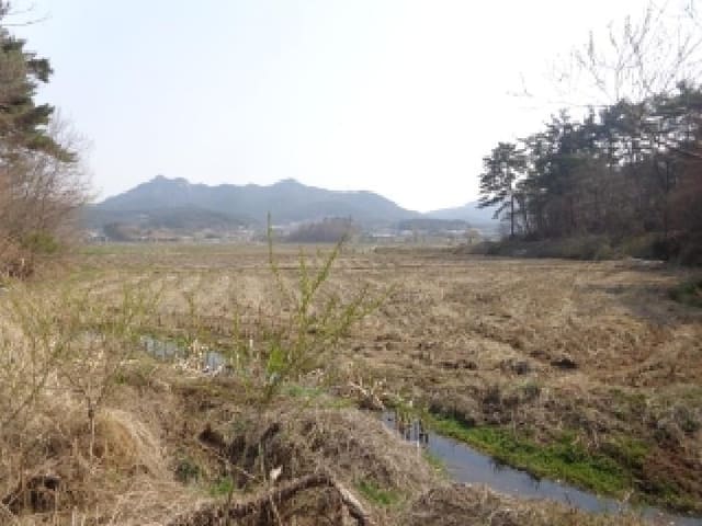 B000285202501300511853.jpg
