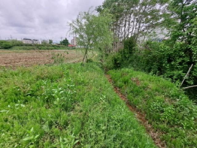 B000285202501300511904.jpg
