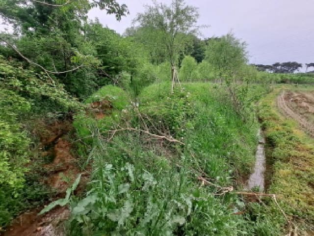 B000285202501300511903.jpg