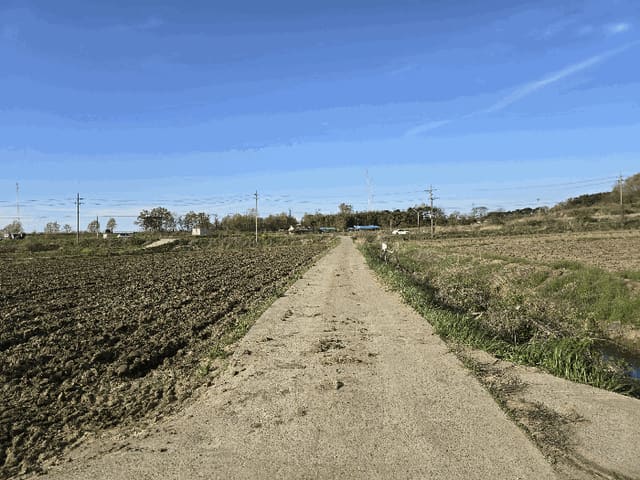 B000285202501300512114.jpg
