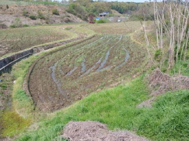 B000285202501300512151.jpg