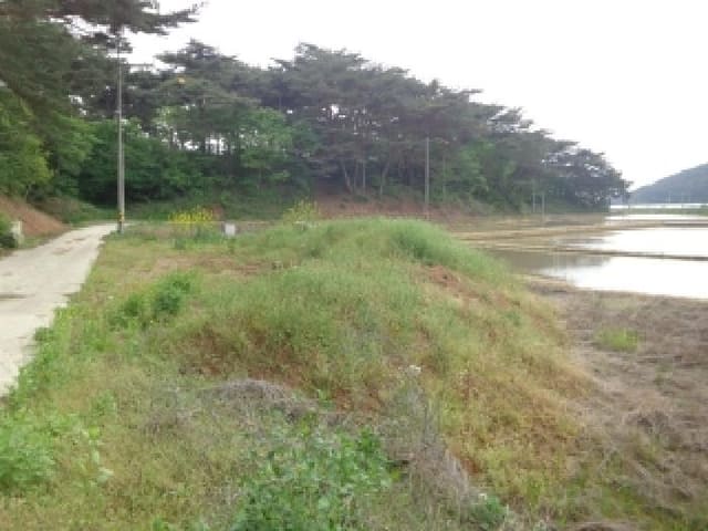B000285202501300512233.jpg