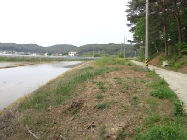 B000285202501300512231.jpg