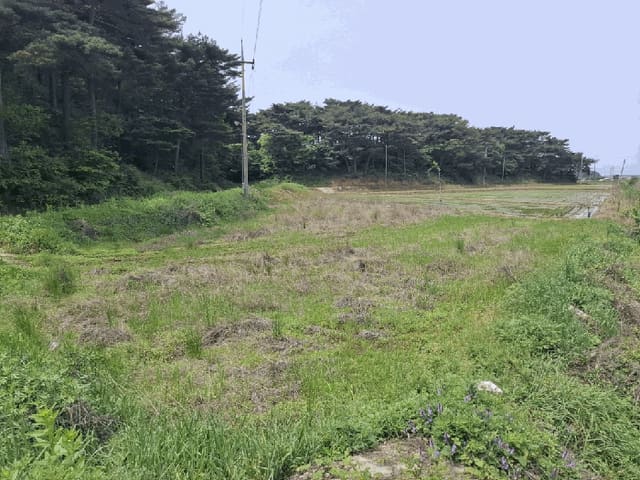B000285202501300512234.jpg