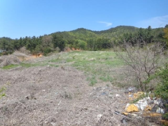 B000285202501300512264.jpg
