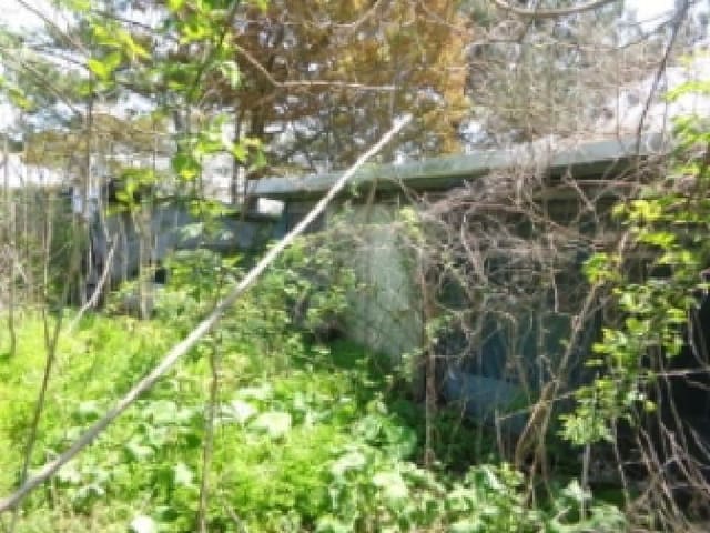 B000285202501300512262.jpg