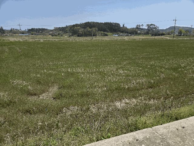 B000285202501300512514.jpg