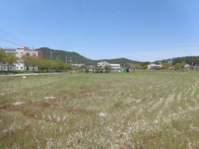 B000285202501300512511.jpg