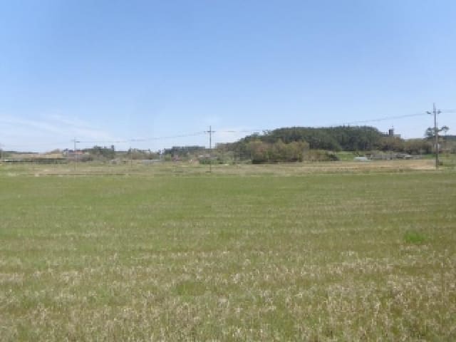 B000285202501300512513.jpg