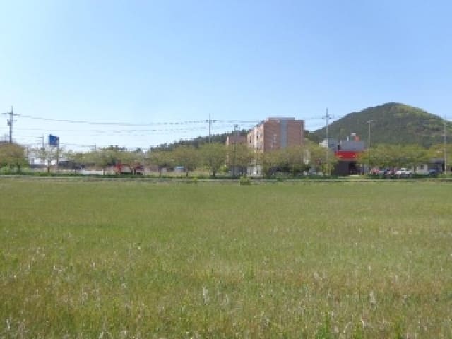 B000285202501300512512.jpg