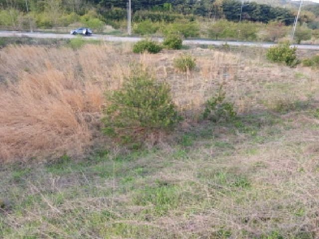 B000285202501300512522.jpg