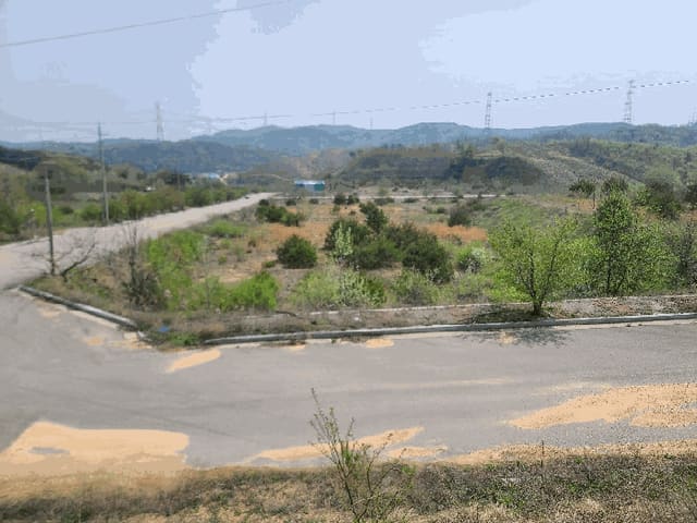 B000285202501300512524.jpg