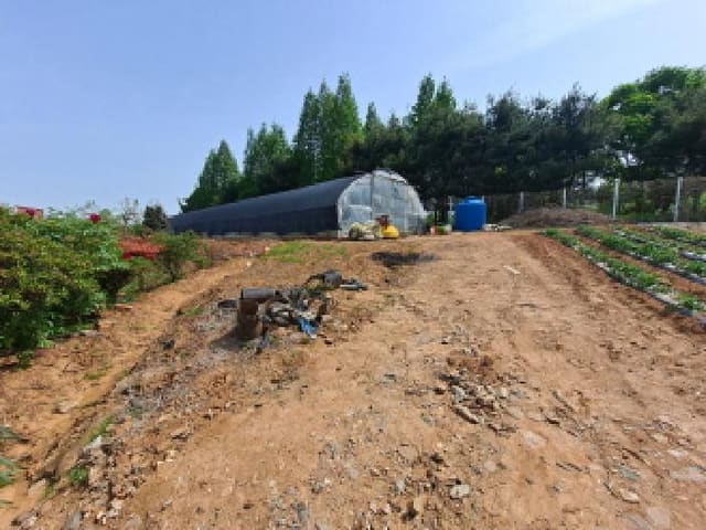 B000285202501300512591.jpg