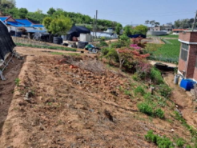 B000285202501300512592.jpg