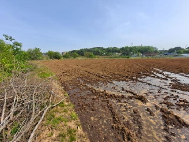 B000285202501300512674.jpg
