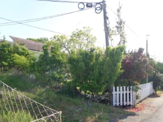 B000285202501300512703.jpg