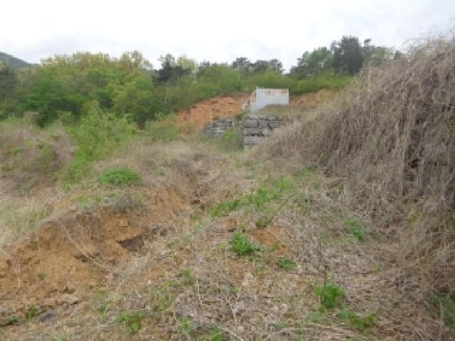 B000285202501300512873.jpg